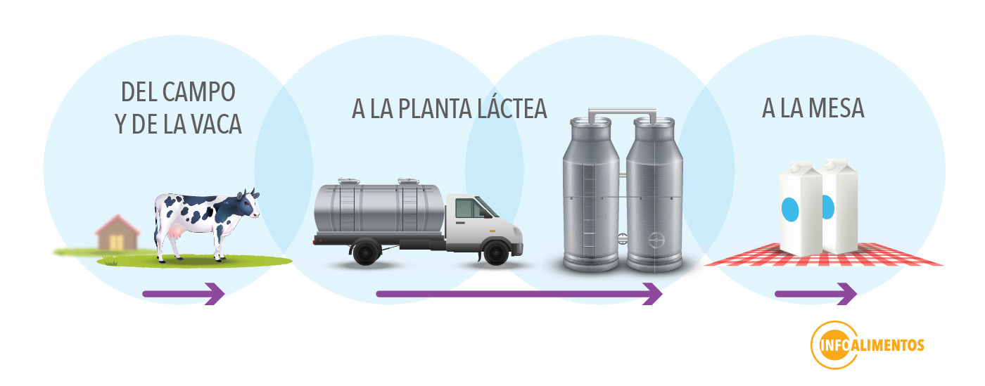 images_temas_seguridad_de_los_alimentos_infografia_leche_1
