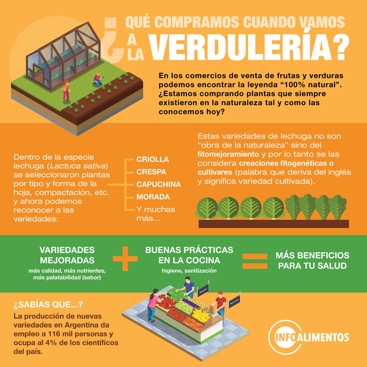 images_temas_23_Variedad-fitogentica_verduleria